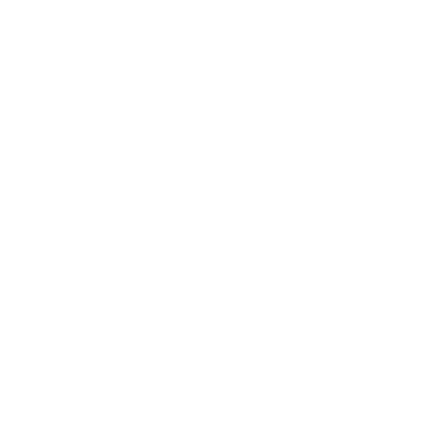stappen wit-02